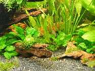 2008_08130015.jpg