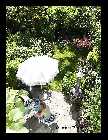 Garten_2.jpg