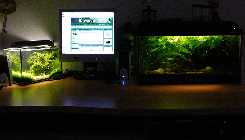 2008_09010001.jpg