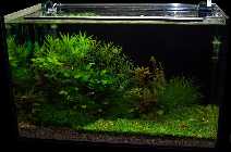 Bild 002b (Custom).jpg