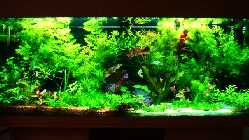 DSC00101.jpg