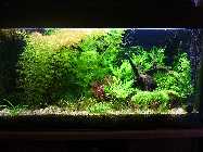 100_4825.jpg
