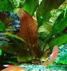 DSC00114.jpg