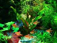 DSC00116.jpg