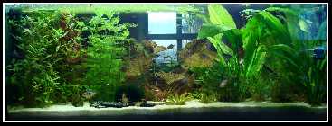 Aq160 Bild6.jpg