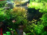 DSC00144.jpg