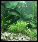 200 Liter 03102008 2klein.jpg