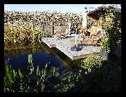 Ganzgartenteich_10.jpg