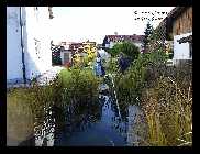 Ganzgartenteich_13.jpg
