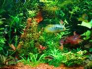 DSC00013.jpg