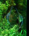 DSC00003.jpg
