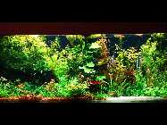 DSC00012.jpg