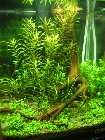PICT0040.jpg