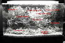 10.10.08 002_(800_x_600).jpg