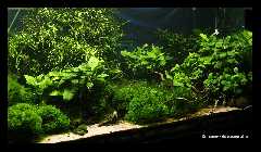 Becken 27.10.08_1.jpg