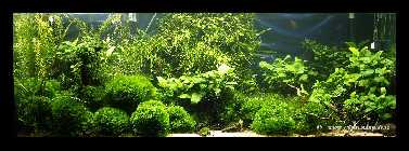 Becken 27.10.08_2.jpg