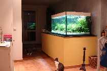DSC03164-small.jpg