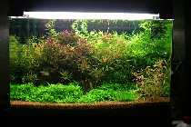 30.10.08 023_(800_x_600).jpg