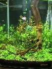 NC 0016 2.11.infran.jpg