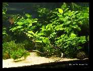 Becken 15.11.08_18.jpg