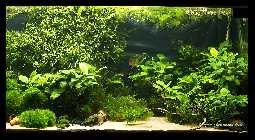 Becken 15.11.08_20.jpg