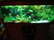 DSC00317.jpg