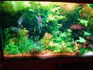 DSC00318.jpg