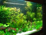 DSC00215.jpg