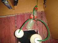 DSC00245.jpg