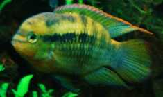 DSC00322.jpg