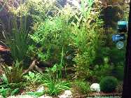 DSCF2638.jpg