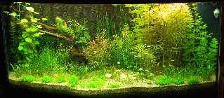 07.12.2008.jpg
