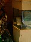 DSC00402_600x800.jpg