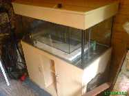 DSC00401_800x600.jpg