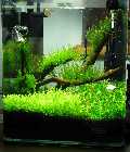 Aquarium131208.jpg