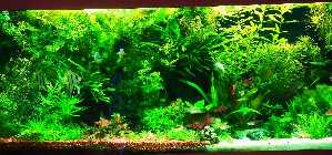 DSC00102.jpg