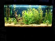 Aquarium neu.jpg