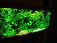 DSC00220.jpg