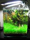 cube25.12.jpg