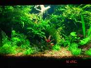 DSC00026.jpg