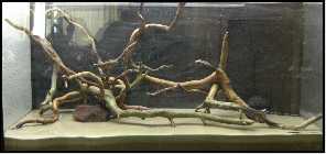 hardscape_2.jpg