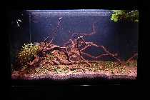 DSC03263-small-small.jpg