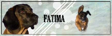 fati-crazy.jpg