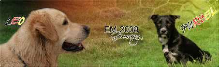 em-leo-purzel.jpg