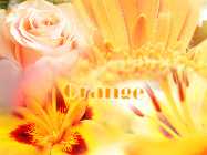 orange.jpg
