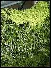 CHR 31.01.09 _4.jpg