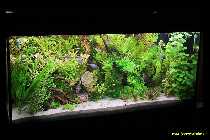 comp_09_02_01 Aquarium 016-01.jpg