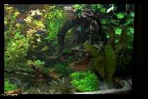 comp_09_02_14 Umbau_0004-01.jpg