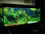 DSC00184.jpg