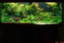 DSC00032.jpg